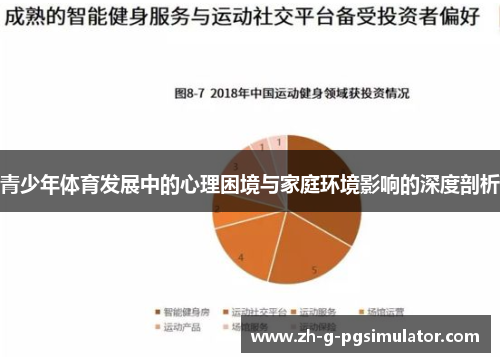 青少年体育发展中的心理困境与家庭环境影响的深度剖析